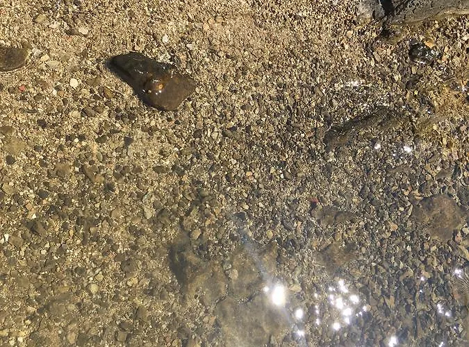 Sarah Διαμέρισμα *